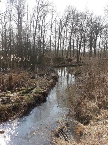 Vazonics Valkenbosch Oisterwijk 86