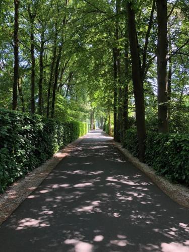 Vazonics Valkenbosch Oisterwijk 86
