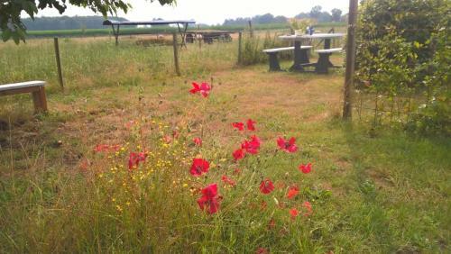Bed & Breakfast Boerderijkamer Zwanebloem