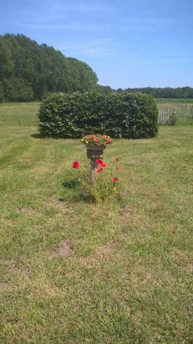 Bed & Breakfast Boerderijkamer Zwanebloem