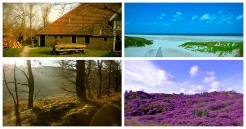 Apartamento Huisje Egypte Op Terschelling