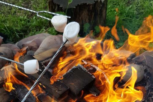 Boerderij De Landhoeve