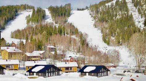 Villa Jarvso House. Ski In / Ski Out.