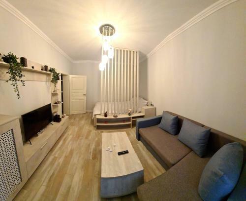 Apartament De Lux Cu Gradina