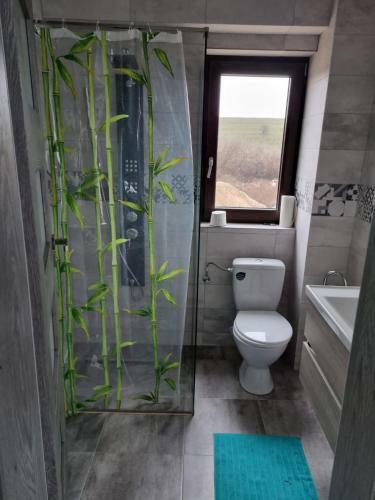 Hostal Pensiunea Christian