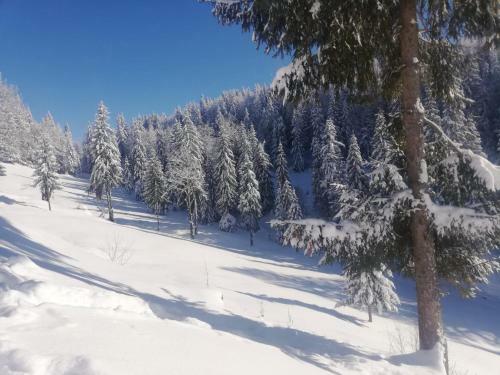 Cabana S�nziana