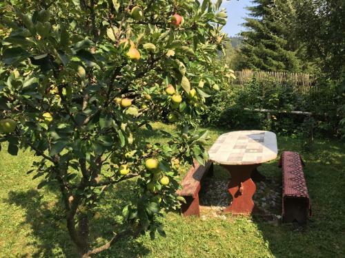 Hostal Pensiunea Gentiana