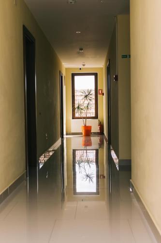 Hostal La Tusi Lovrin