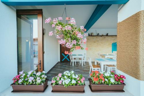 Hostal Pensiunea Briza Marii Jurilovca