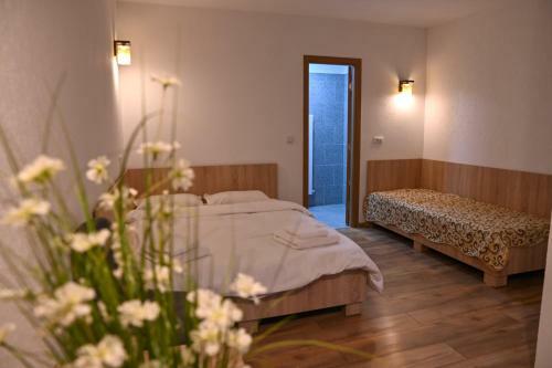 Lodge Casa Mia Straja-lupeni