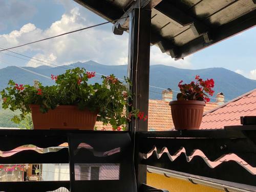 Bed & Breakfast Casa Greta