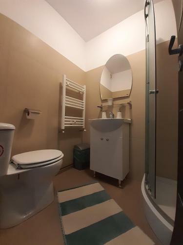 Copou Holding Apartments