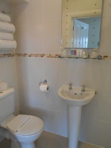 Hostal The Bluebell Guest House