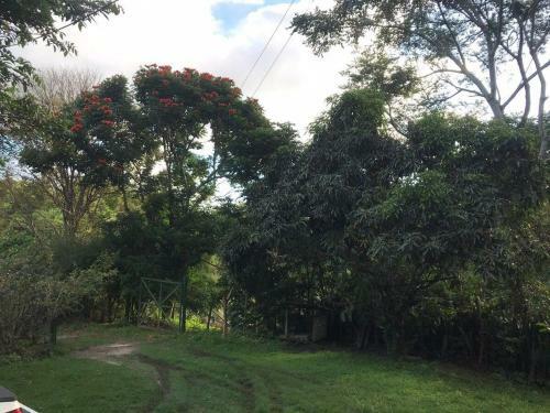 S�tio S�o Francisco, Natureza E Estrutura Completa