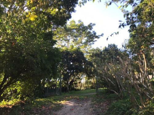 S�tio S�o Francisco, Natureza E Estrutura Completa