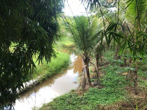 S�tio S�o Francisco, Natureza E Estrutura Completa