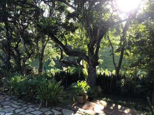 S�tio S�o Francisco, Natureza E Estrutura Completa