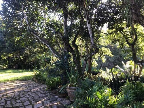 S�tio S�o Francisco, Natureza E Estrutura Completa