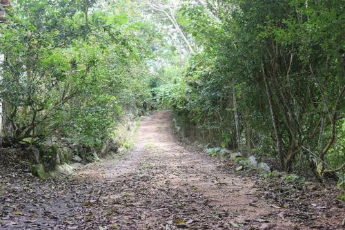 S�tio S�o Francisco, Natureza E Estrutura Completa
