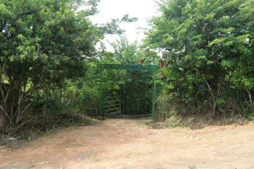 S�tio S�o Francisco, Natureza E Estrutura Completa