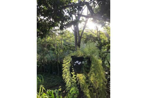 S�tio S�o Francisco, Natureza E Estrutura Completa