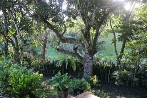 S�tio S�o Francisco, Natureza E Estrutura Completa