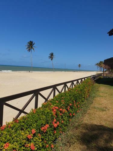 Apartamento Cumbuco Dream Beach Sun