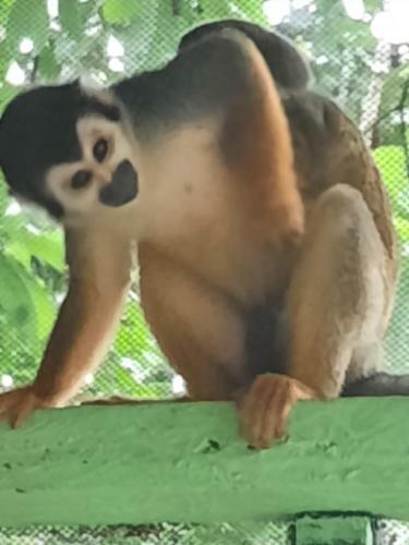 Hotel Caba�as Alto Del Aguila