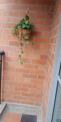Apartamento Jacana Del Lago