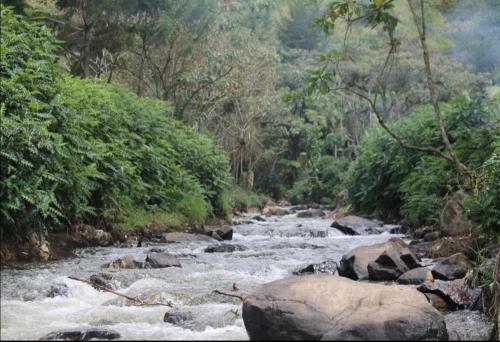 El Retiro Antioquia La Isabelita