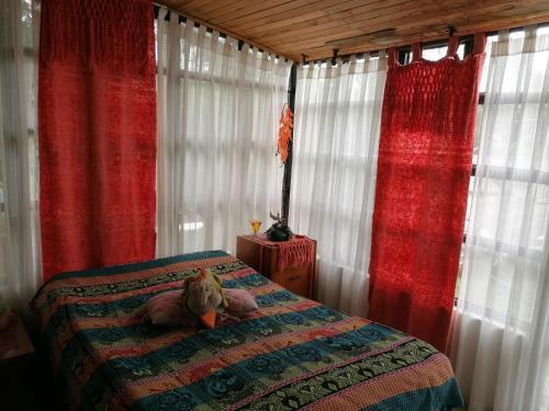 Apartamento Pereira Al Campo