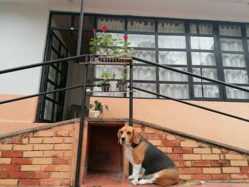 Apartamento Pereira Al Campo