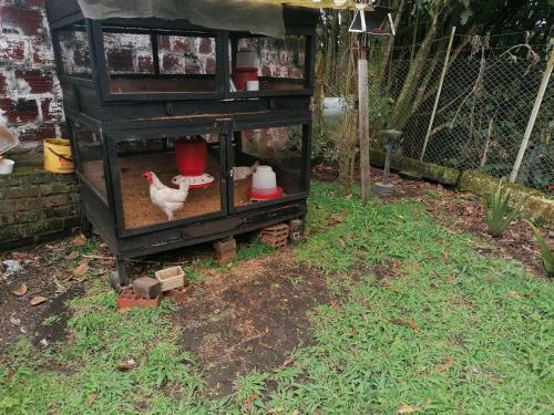 Apartamento Pereira Al Campo