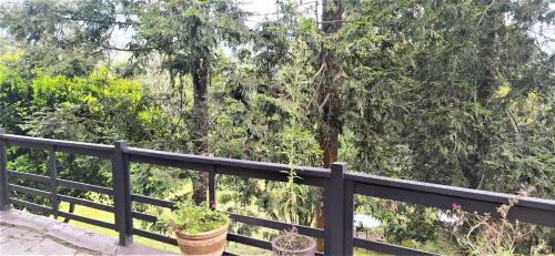 Hotel Hacienda Shangri-la