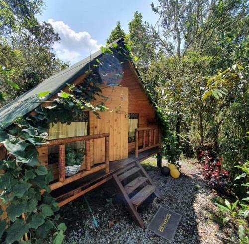 Glamping Pigmali�n Santa Elena