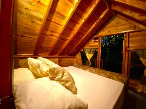Glamping Pigmali�n Santa Elena