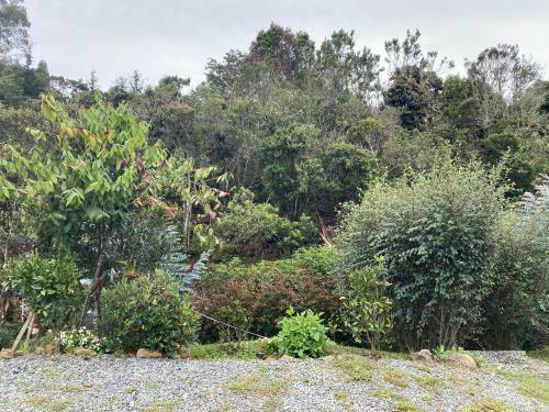 Glamping Pigmali�n Santa Elena