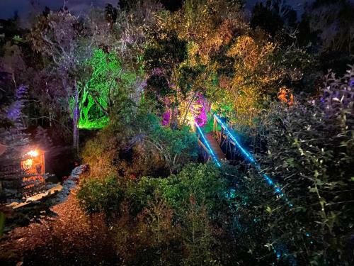 Glamping Pigmali�n Santa Elena