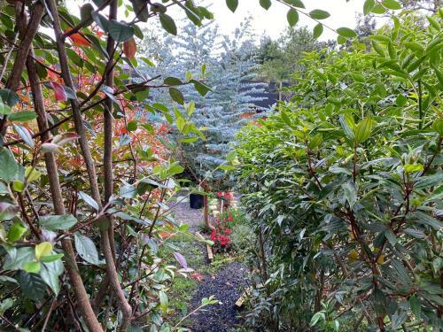 Glamping Pigmali�n Santa Elena