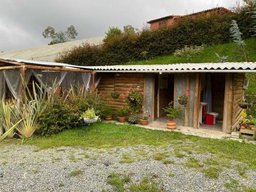 Glamping Pigmali�n Santa Elena