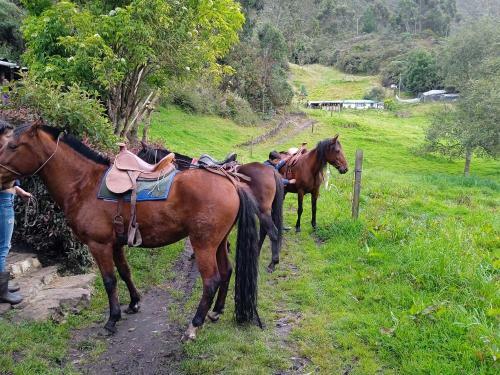 Caba�as El Paraiso Sesquile
