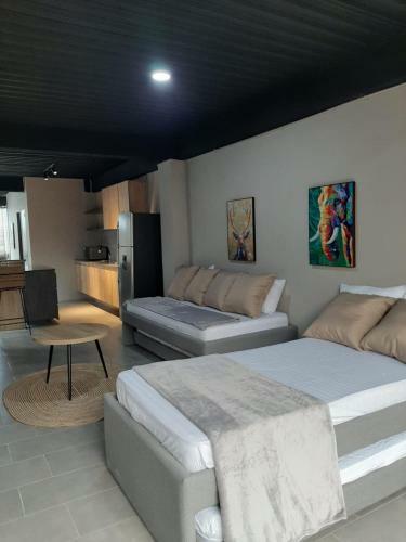 Apartamento Moderno Y Elegante Loft En Santa Rosa de Cabal