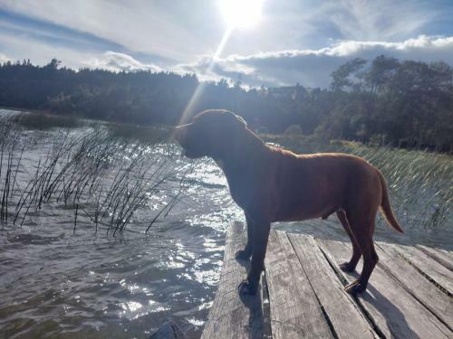 Villa Laguna De Tota Paraiso
