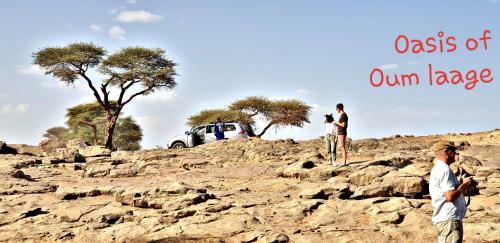 Safari Camp Tours