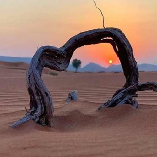 Bed & Breakfast Camp Desert Nomad Tour