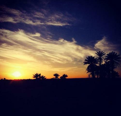 Bed & Breakfast Camp Desert Nomad Tour