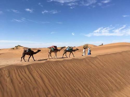 Bed & Breakfast Camp Desert Nomad Tour