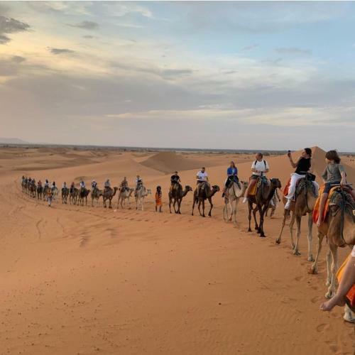 Bed & Breakfast Camp Desert Nomad Tour