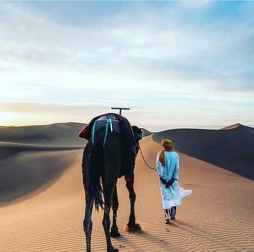 Bed & Breakfast Camp Desert Nomad Tour
