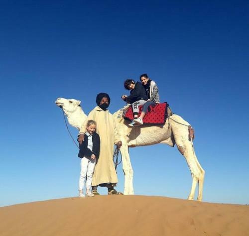Bed & Breakfast Camp Desert Nomad Tour